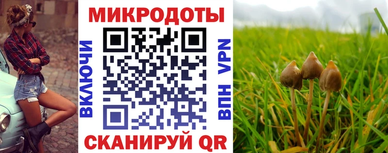 что такое наркотик  Дедовск  Псилоцибиновые грибы Cubensis 