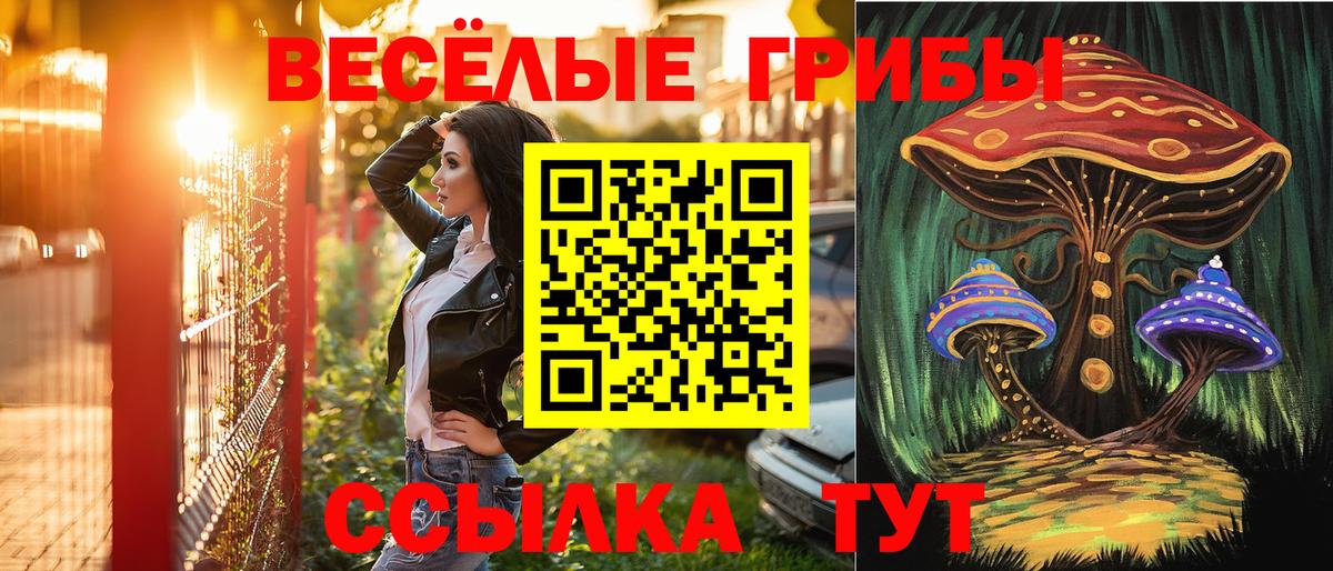 Псилоцибиновые грибы Psilocybe  Галлюциногенные грибы Psilocybine cubensis  Дедовск  Вход с VPN 