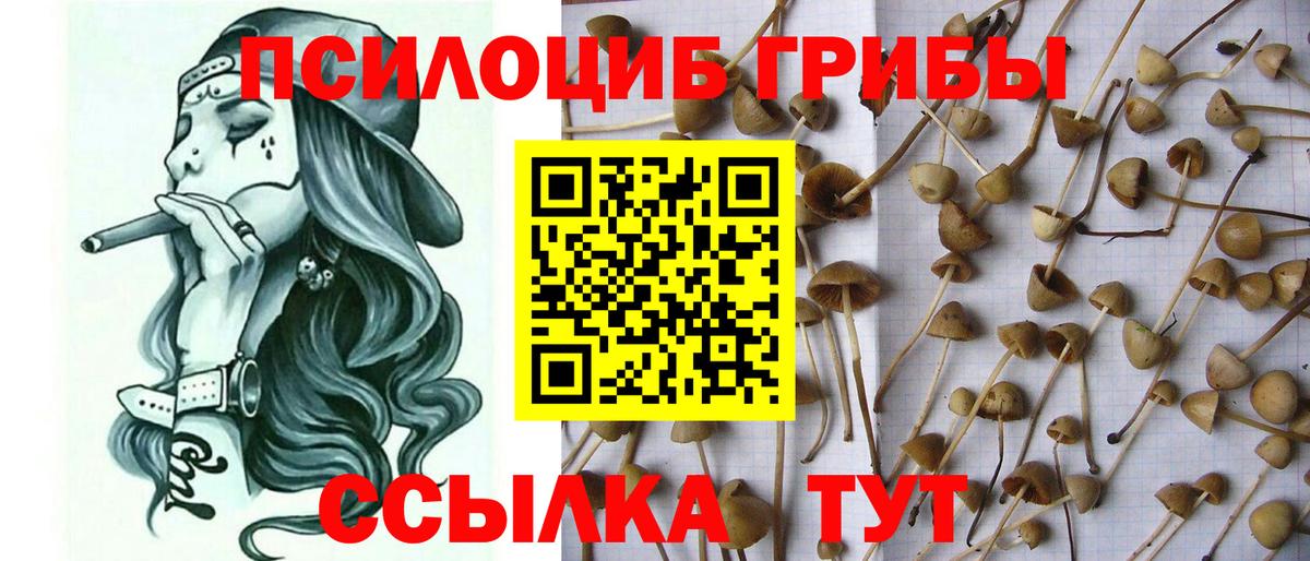 Псилоцибиновые грибы MAGIC MUSHROOMS Дедовск
